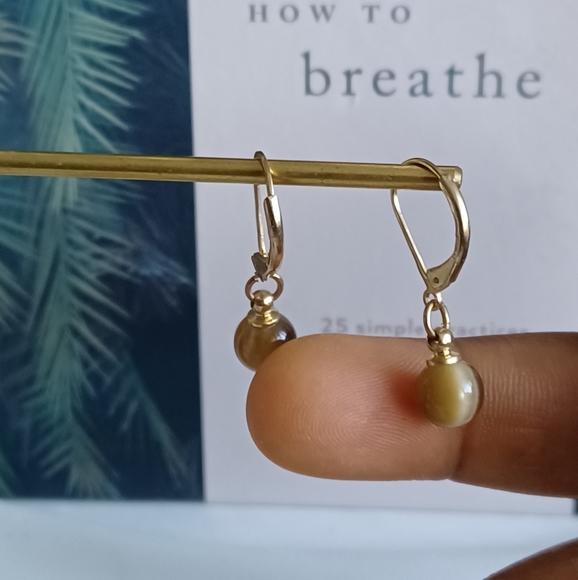 Round Ombre Dangle Earrings - Picture 8 of 12